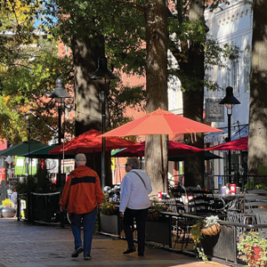 Downtown Mall Tree Management Plan Icon