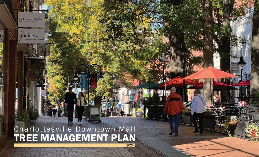 Downtown Mall Tree Management Plan Preview
