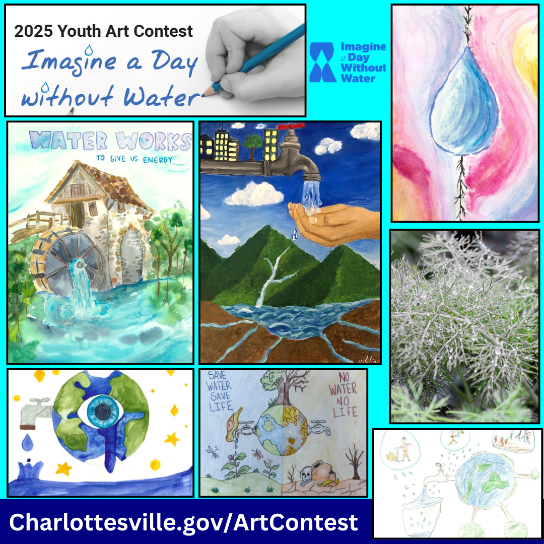 2025 IADWW All Winners