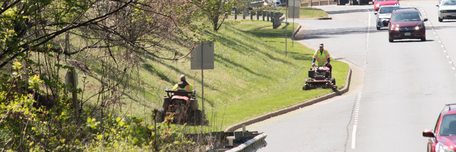 Landscape-Maintenance