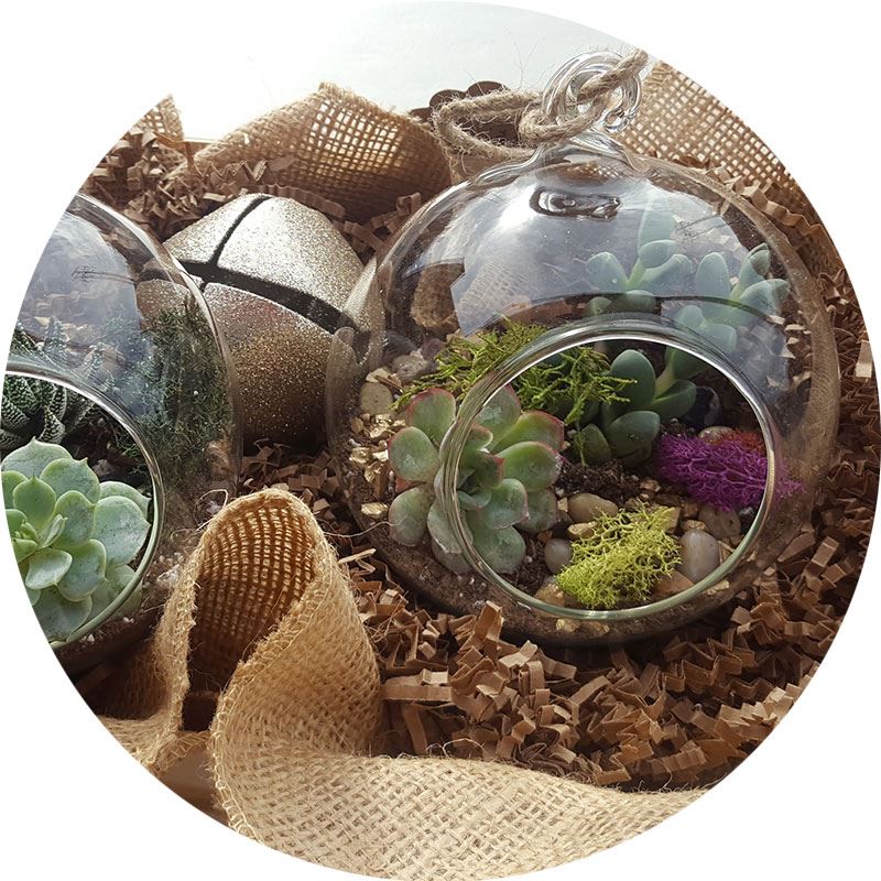 City Market - Holiday Market