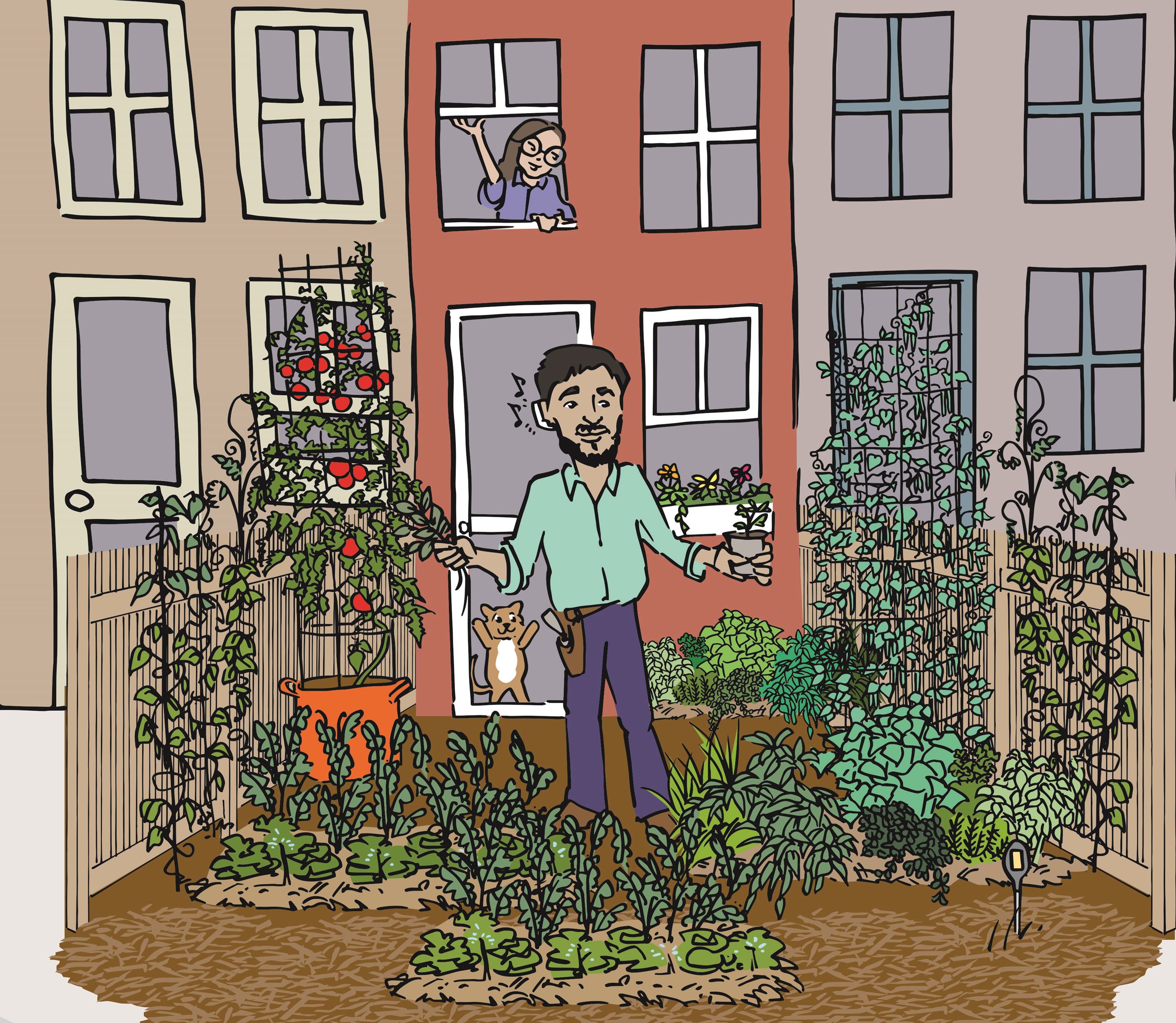 Urban Oasis Landscape