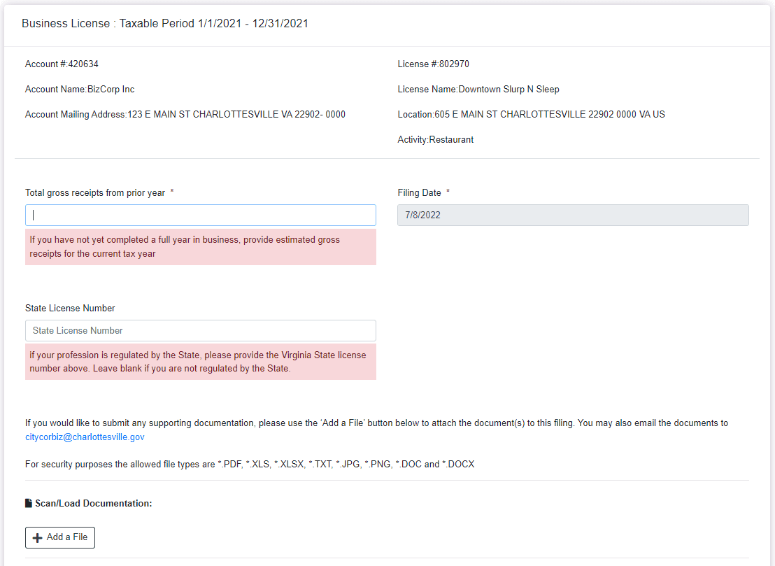 Business License Filing Screenshot